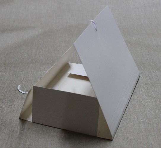 CartonWhiteBand1 Mappe Carton Case weiß mit Band 9051